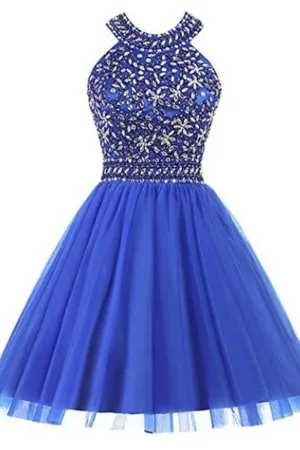 2024 Homecoming Dresses A Line Scoop Tulle PTY11NJ9